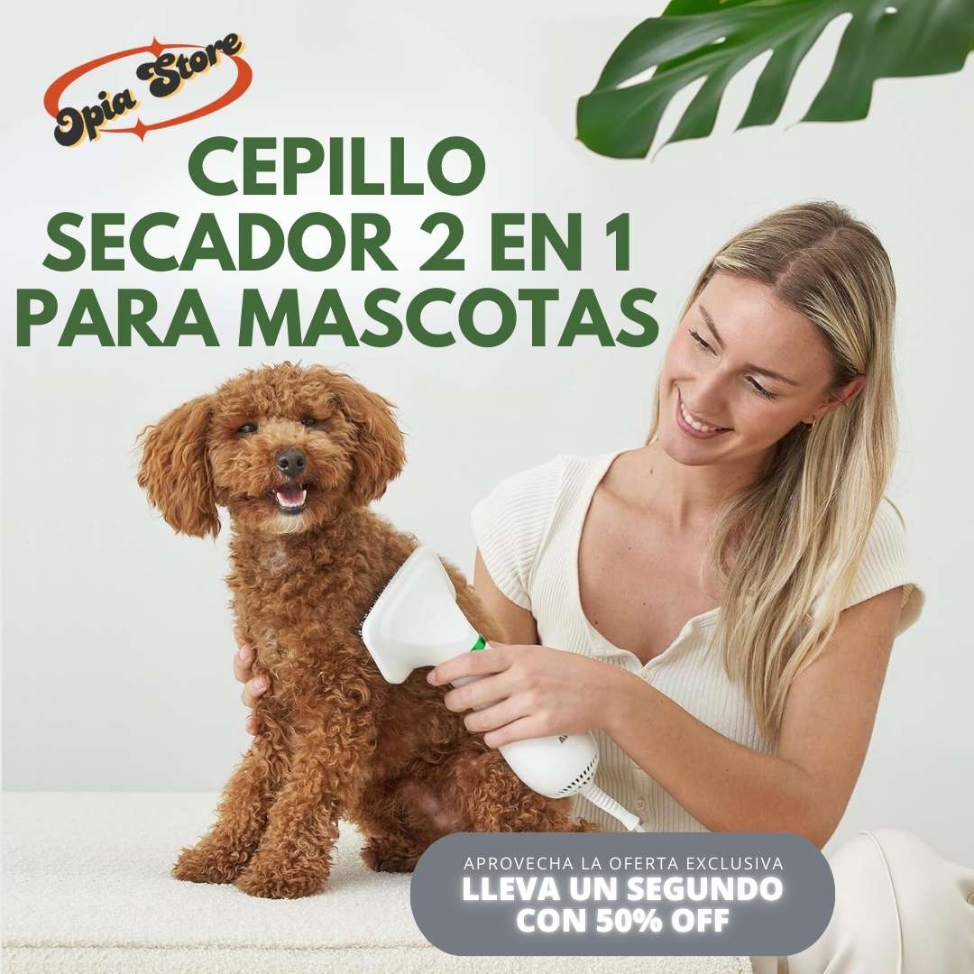 Cepillo Secador 2 En 1 Para Mascotas